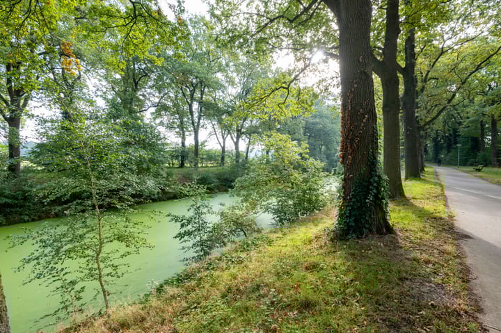 Foto 35 van Bosgors 2