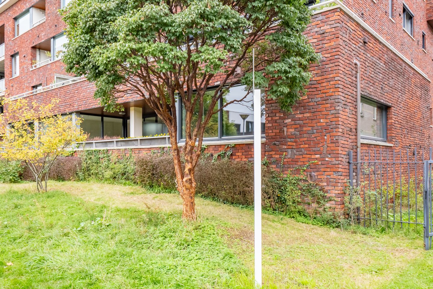 Foto 4 van Reyer Anslostraat 68