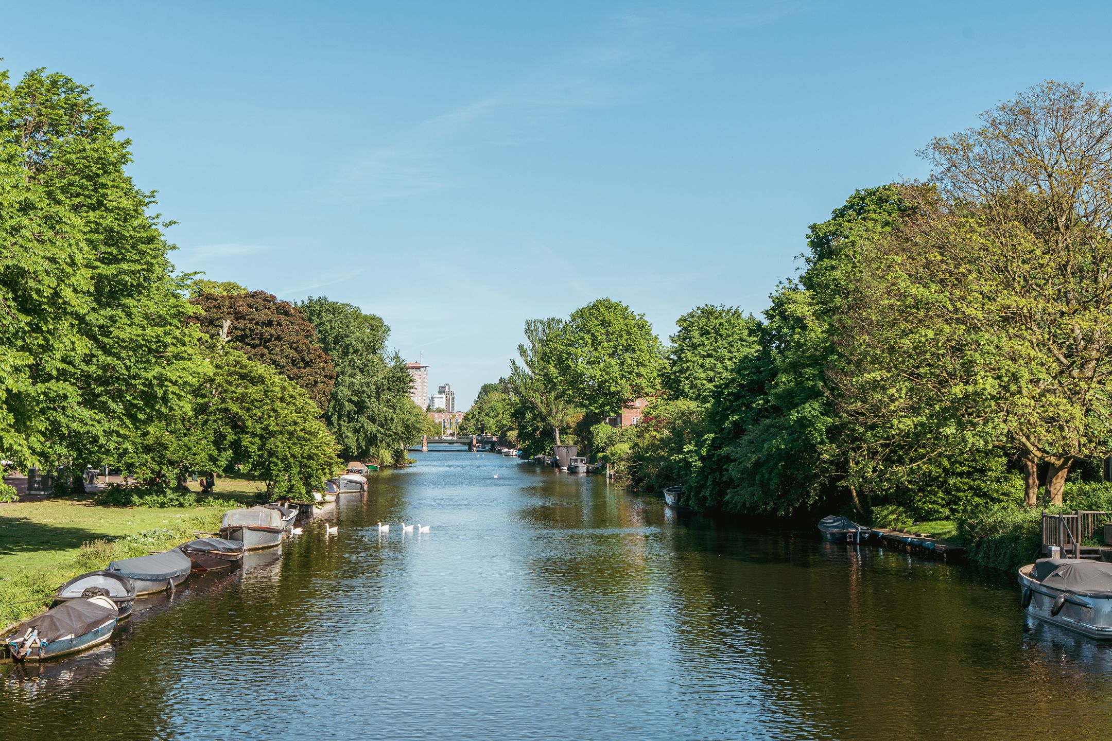 Photo 30 of Hacquartstraat 7-2