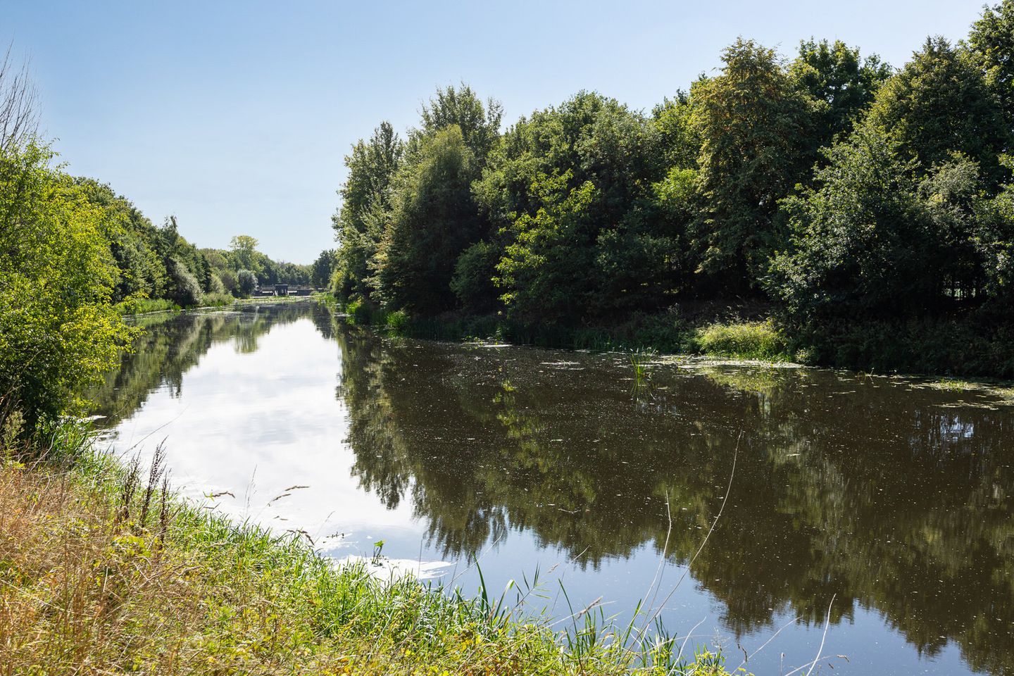 Foto 50 van Schijndelseweg 12