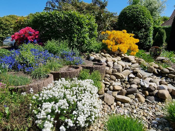 Foto 11 van Wiidswâl 23