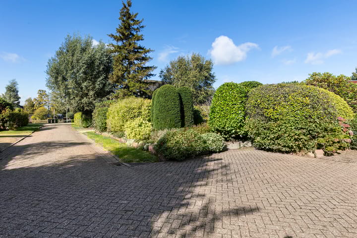 Foto 48 van Wiidswâl 23