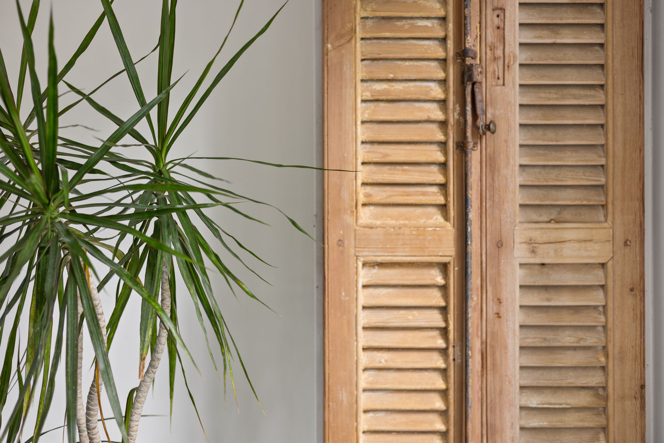 Foto 21 van Koningin Emmastraat 6