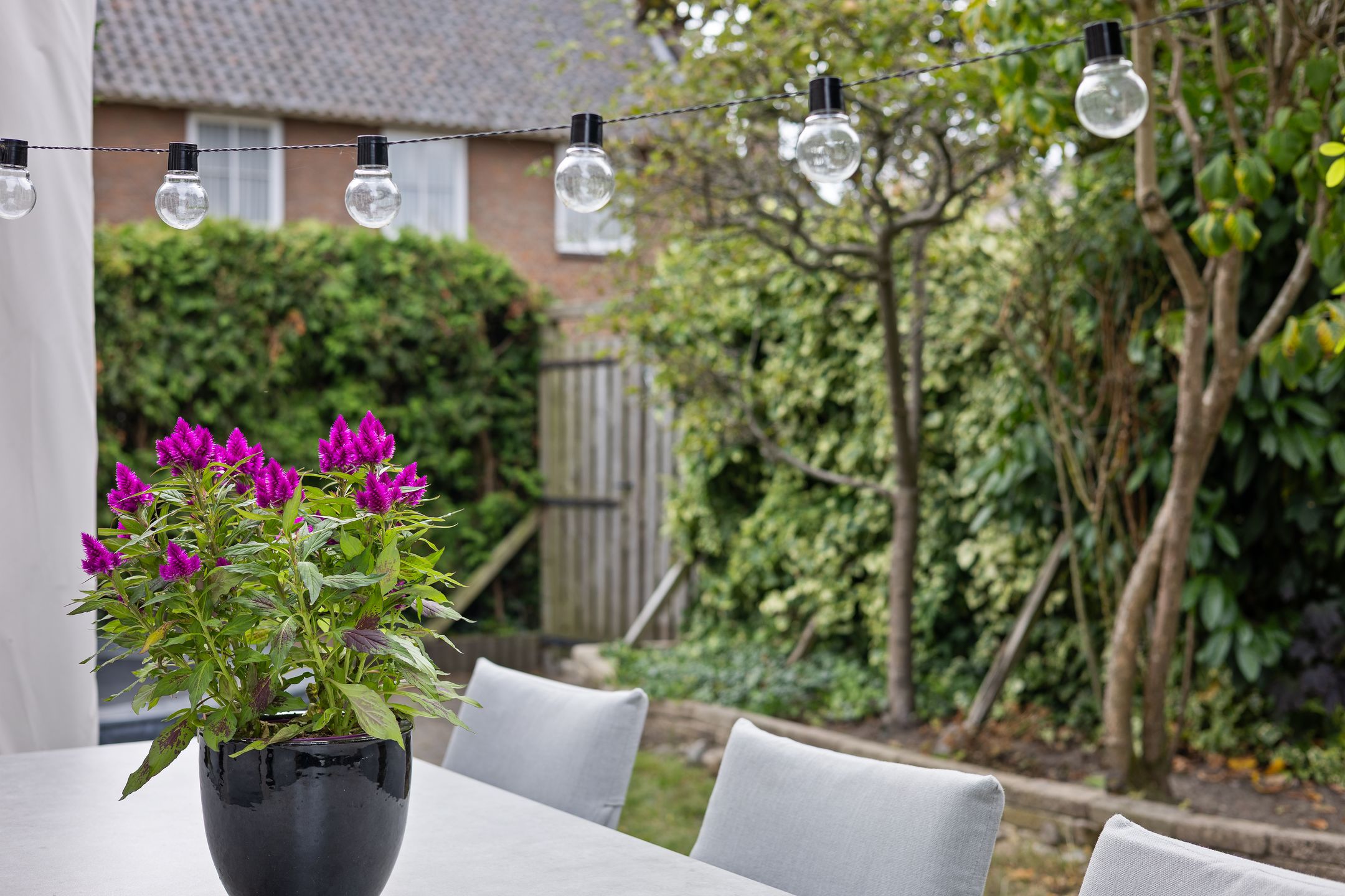 Foto 45 van Koningin Emmastraat 6