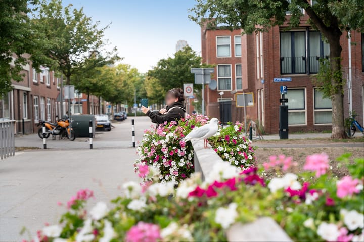 Foto 30 van Zwijndrechtsestraat 8