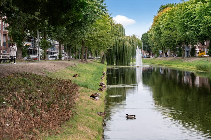 Foto 31 van Zwijndrechtsestraat 8