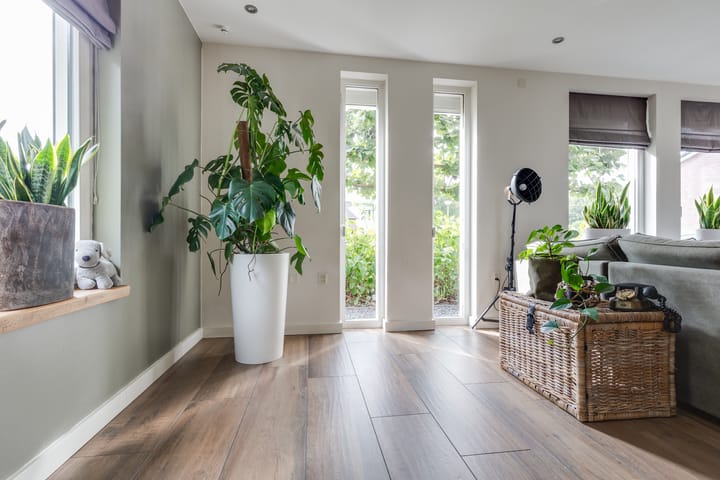 Photo 11 of Elzenerf 46