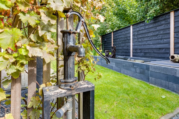 Photo 60 of Elzenerf 46