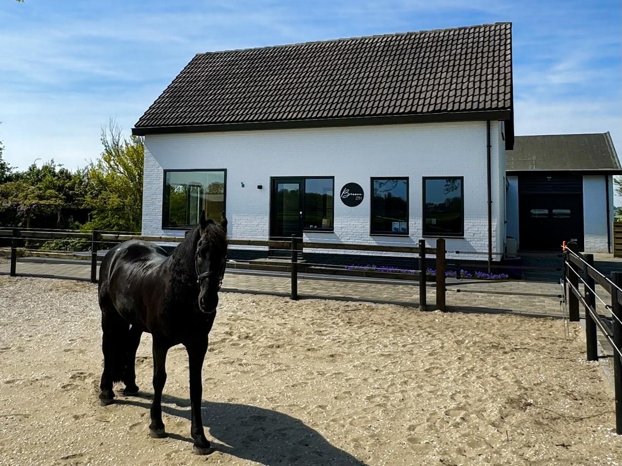 Foto 27 van Schulpweg 129-A