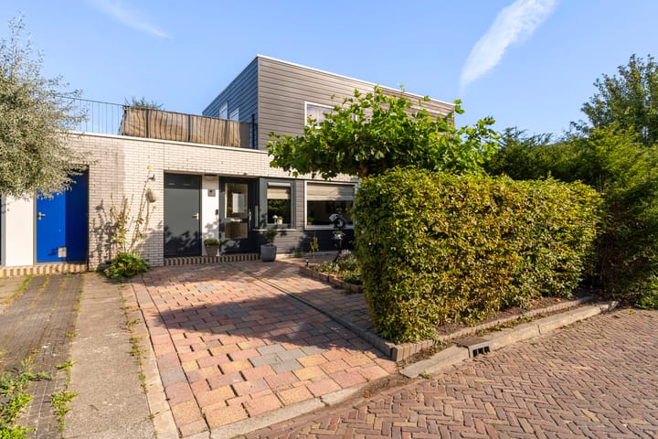 van Loonstraat 40