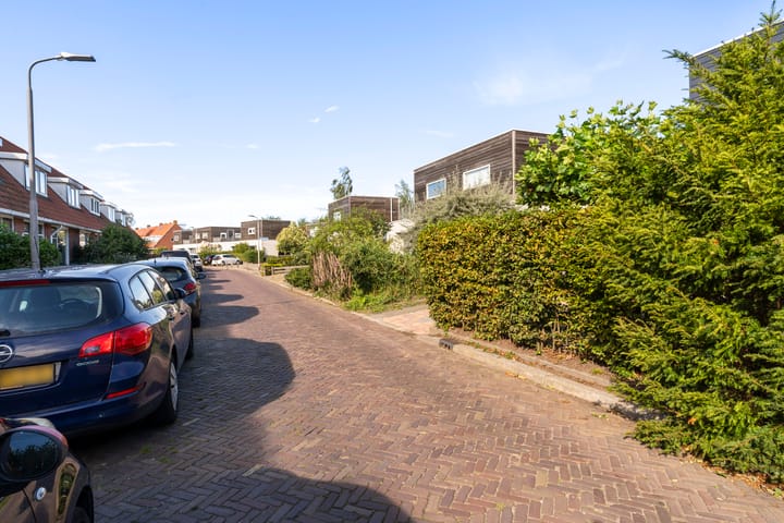 Foto 45 van van Loonstraat 40