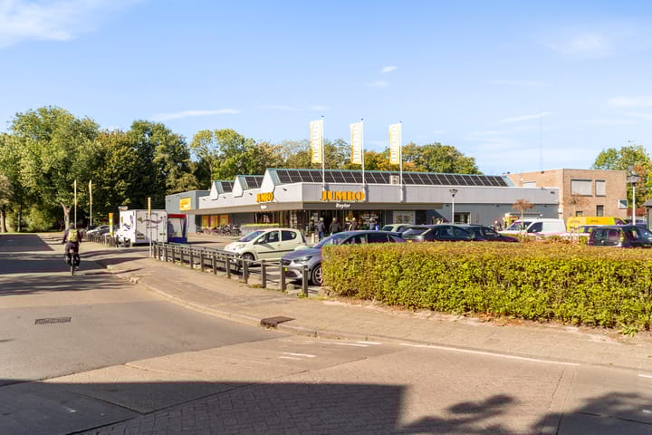 Foto 48 van van Loonstraat 40