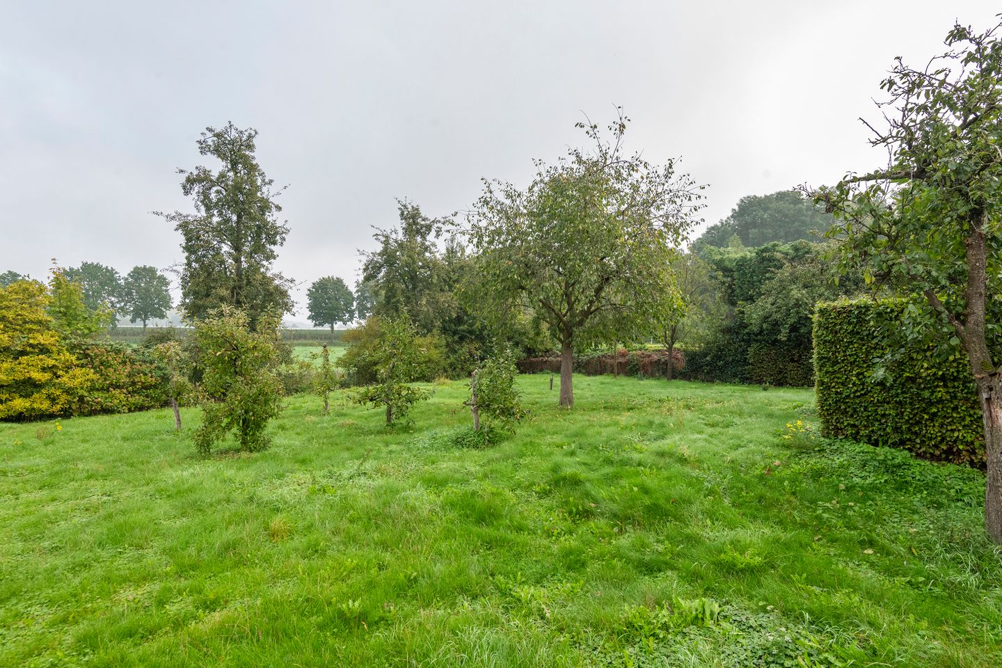 Foto 59 van Voorstraat 12