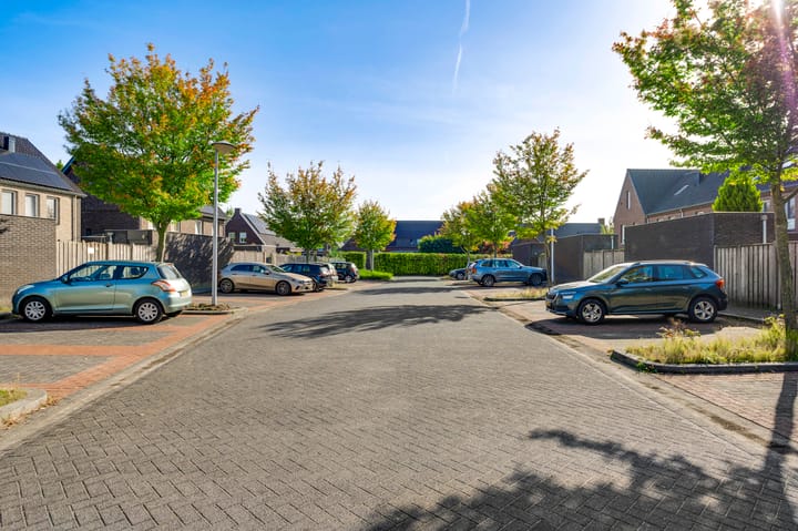 Foto 38 van Leopold Haffmansstraat 16