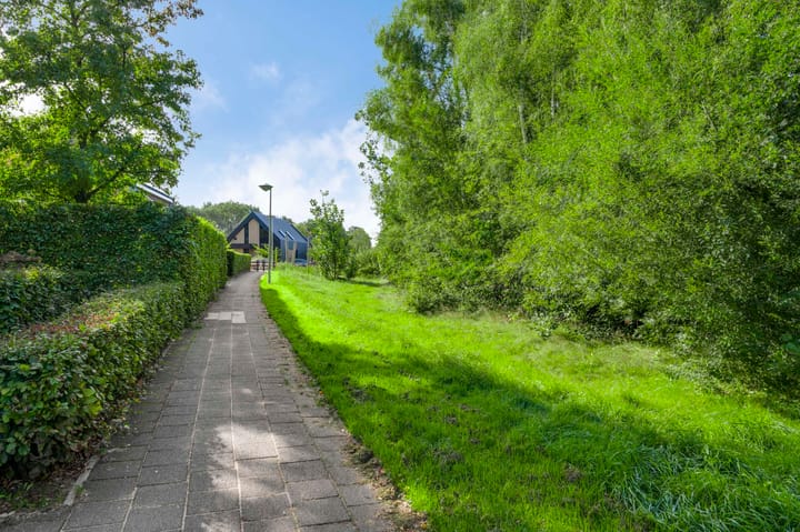 Foto 39 van Leopold Haffmansstraat 16