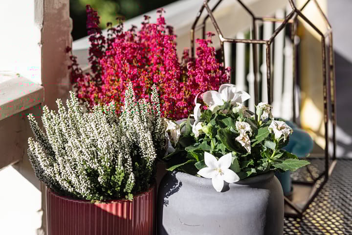 Foto 47 van Bergweg 233-A