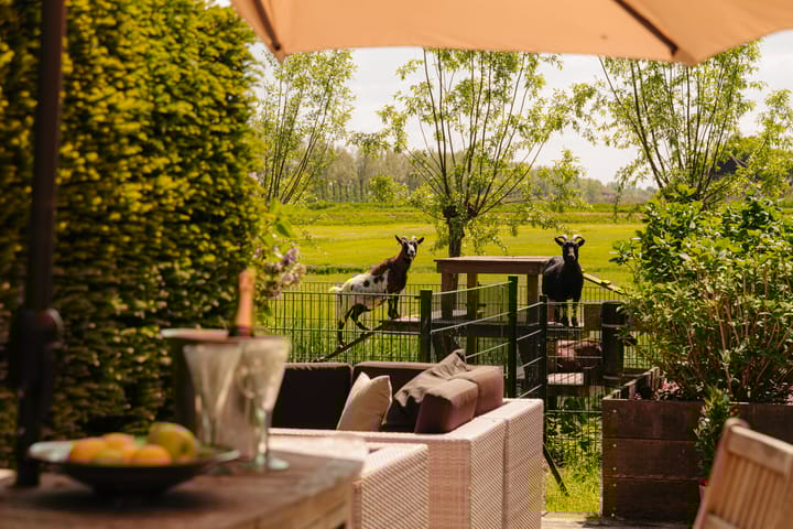 Foto 20 van Angsteloord 73