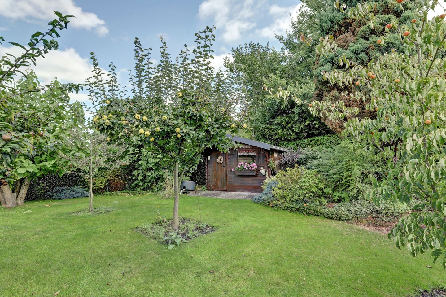 Foto 40 van Bosweer 3-D