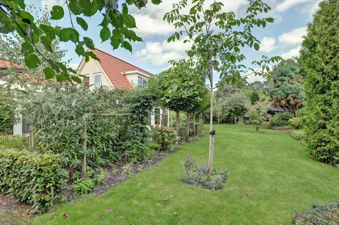 Foto 38 van Bosweer 3-D