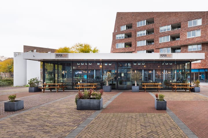 Foto 25 van Marsmanplein 138