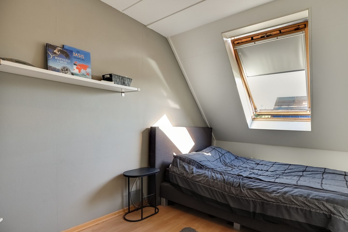 Photo 25 of Roerdomp 37