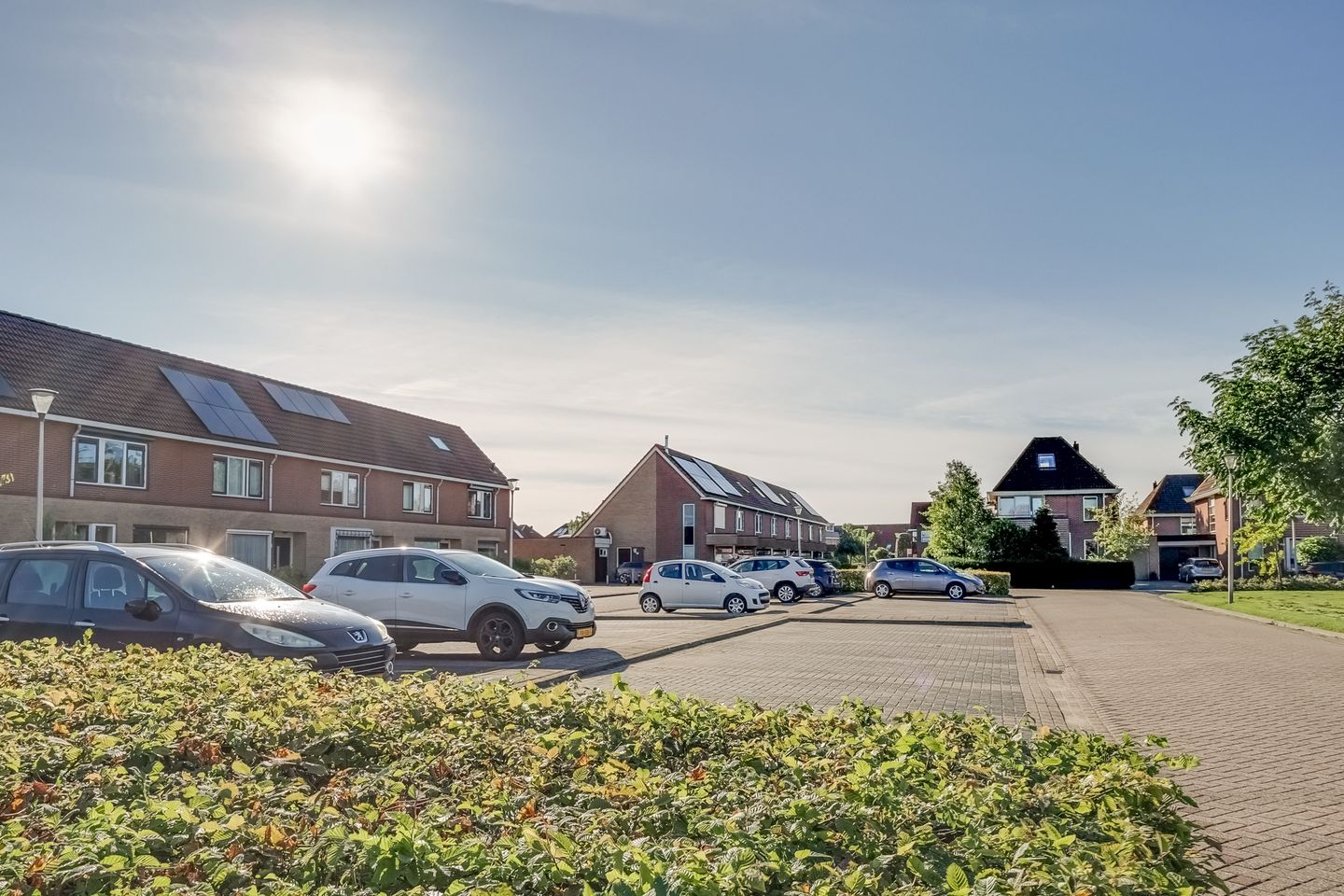 Photo 50 of Roerdomp 37