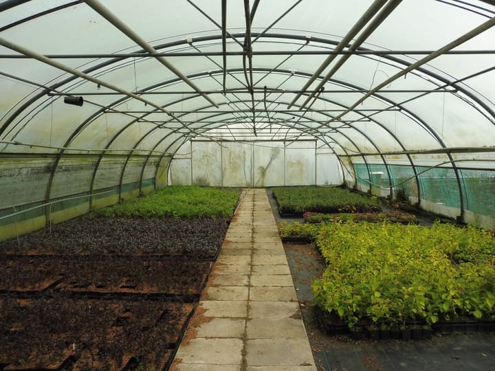 Foto 60 van Halve Raak 35