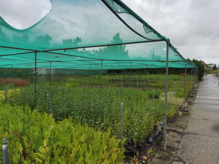 Foto 61 van Halve Raak 35