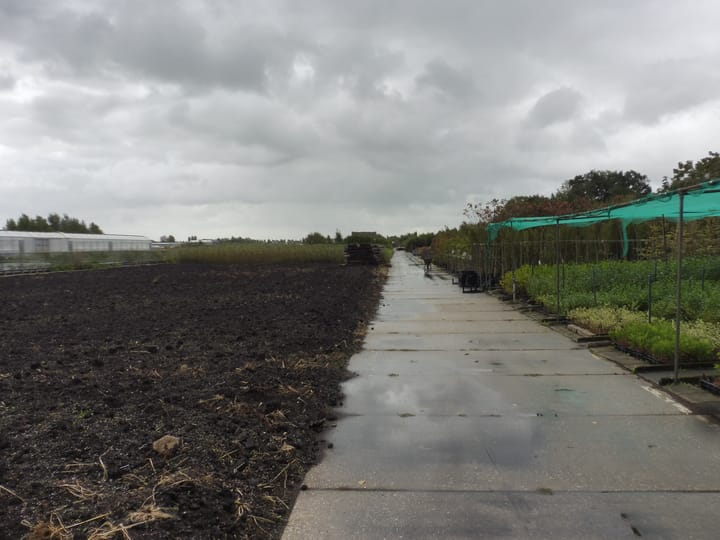 Foto 62 van Halve Raak 35