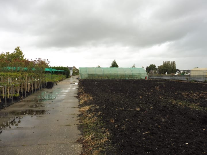 Foto 63 van Halve Raak 35