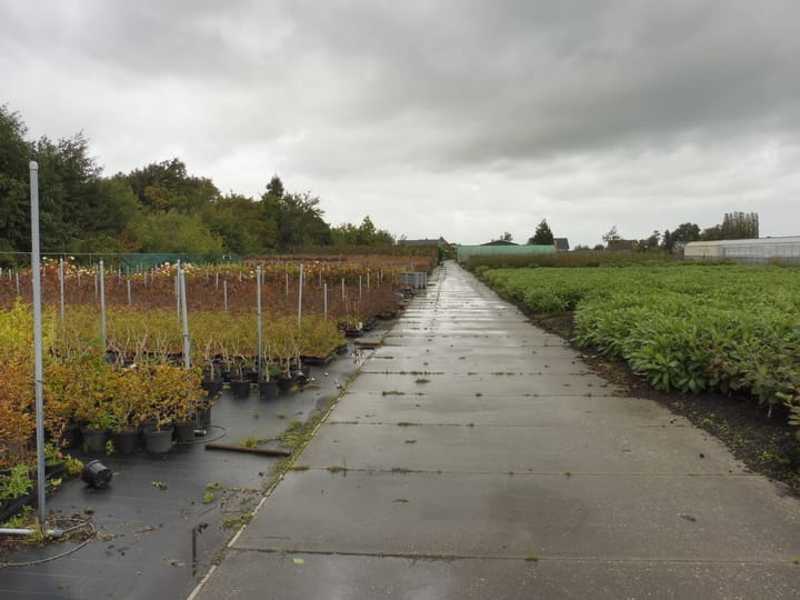 Foto 64 van Halve Raak 35