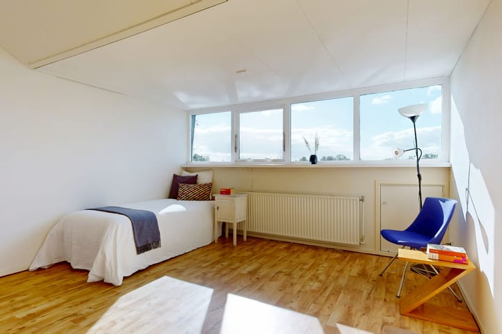 Foto 29 van Roerdomp 61