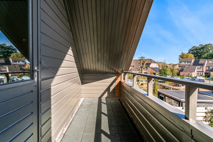 Foto 36 van Roerdomp 61