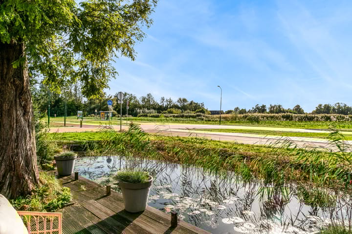 Foto 39 van Roerdomp 61