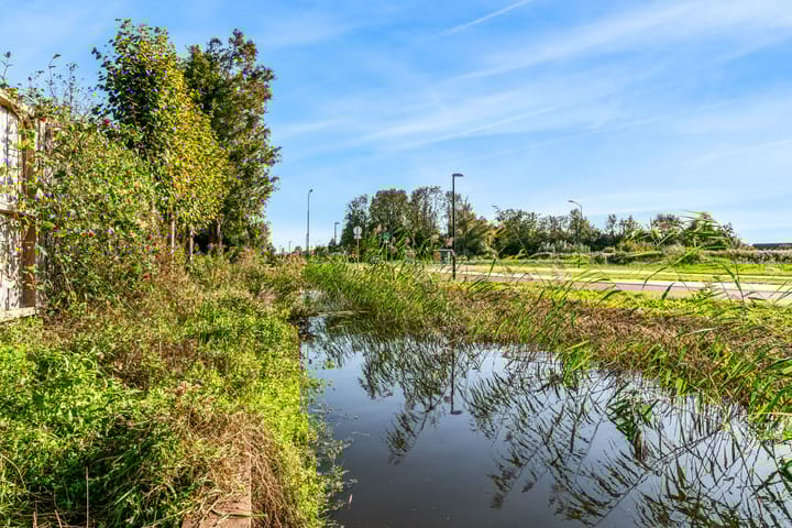 Foto 40 van Roerdomp 61