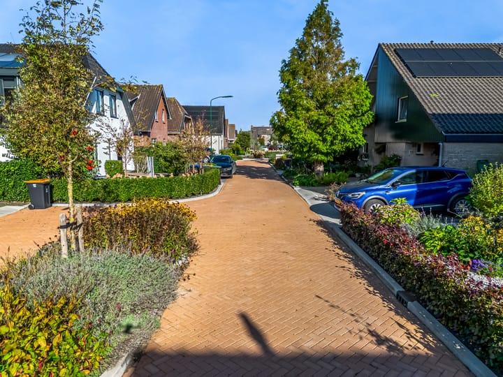 Foto 52 van Roerdomp 61