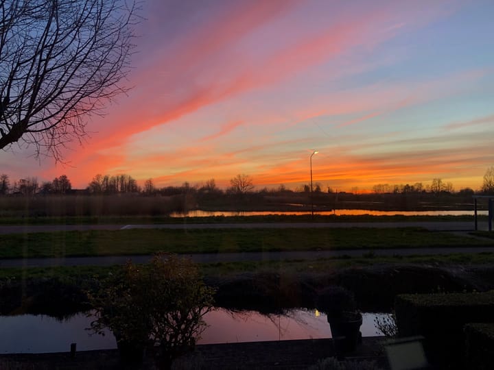 Foto 54 van Roerdomp 61