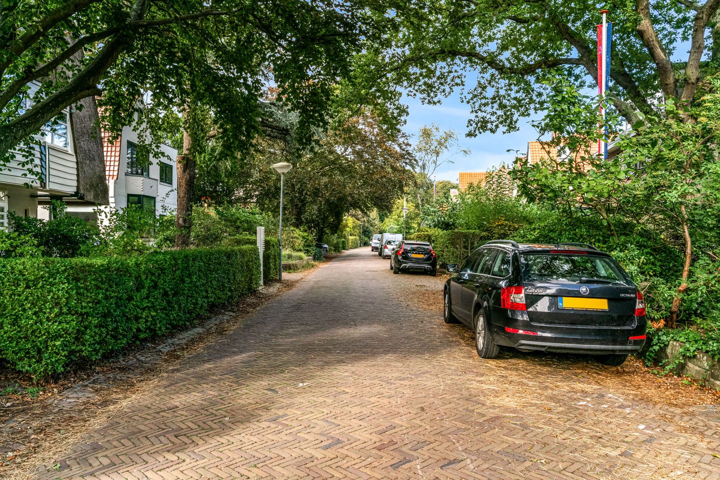 Photo 40 of Driehuizerkerkweg 45