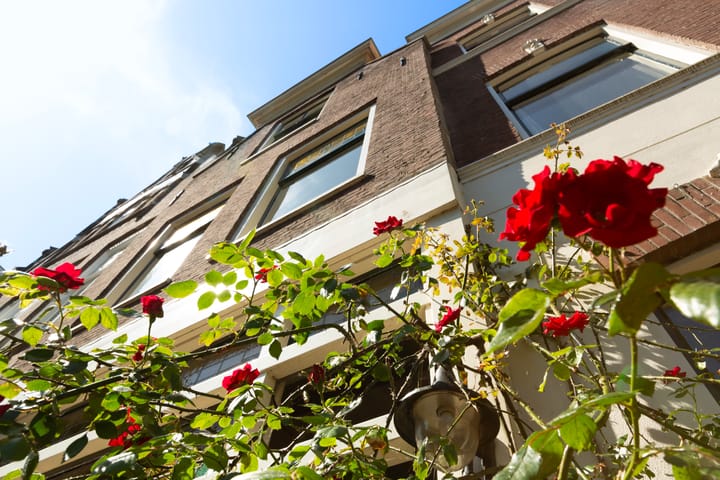 Foto 34 van Westhaven 32