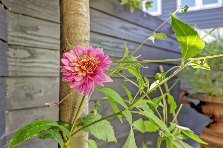 Foto 27 van Hoofdstraat 2