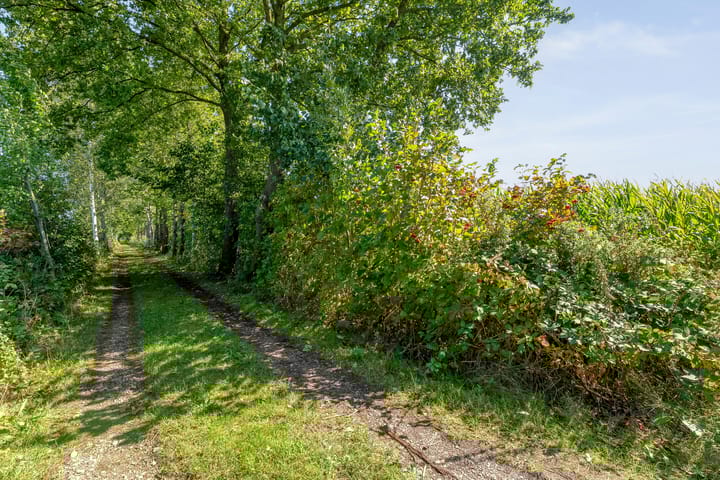 Foto 49 van Stapelerveldweg 12