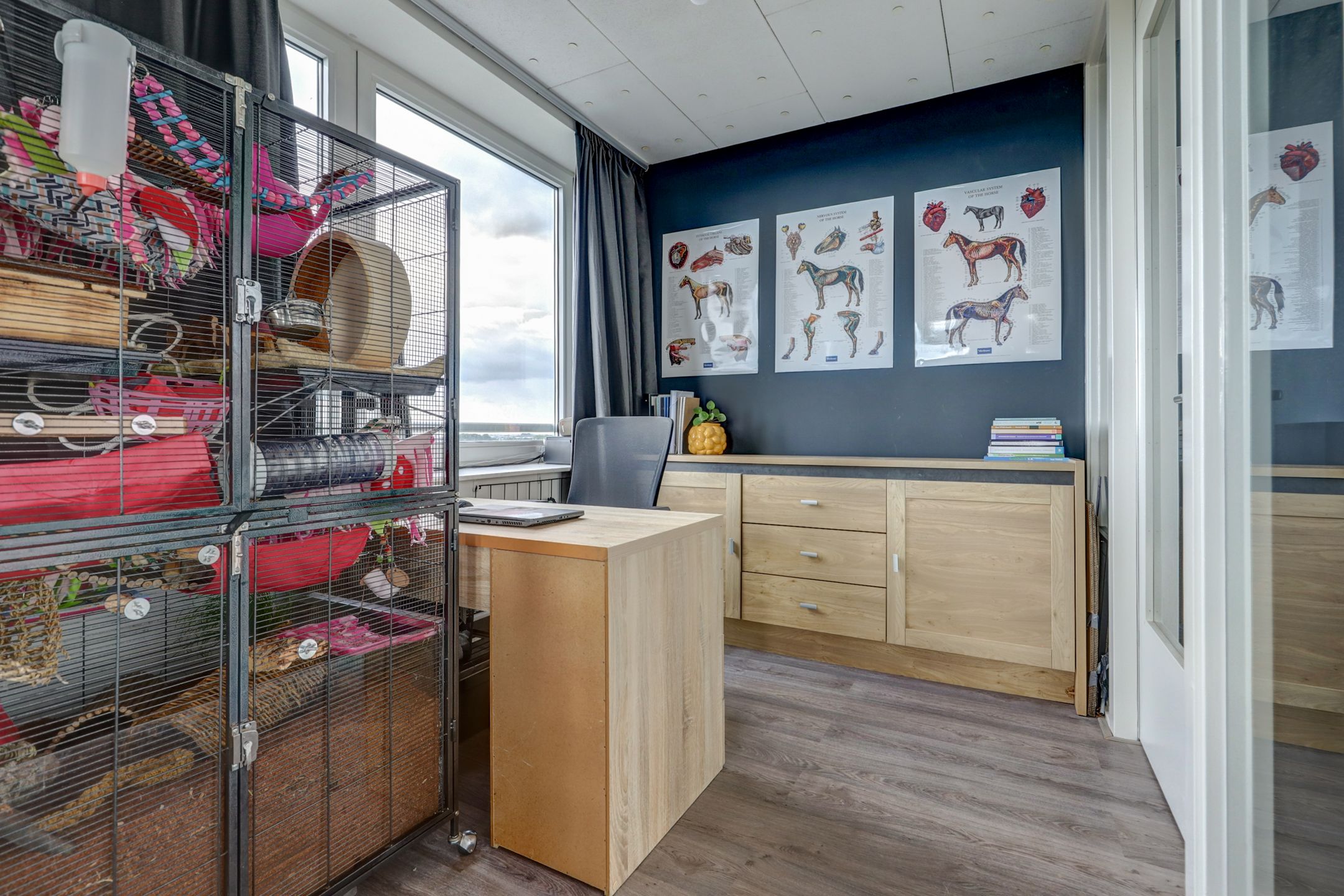 Photo 30 of David Tenierslaan 112