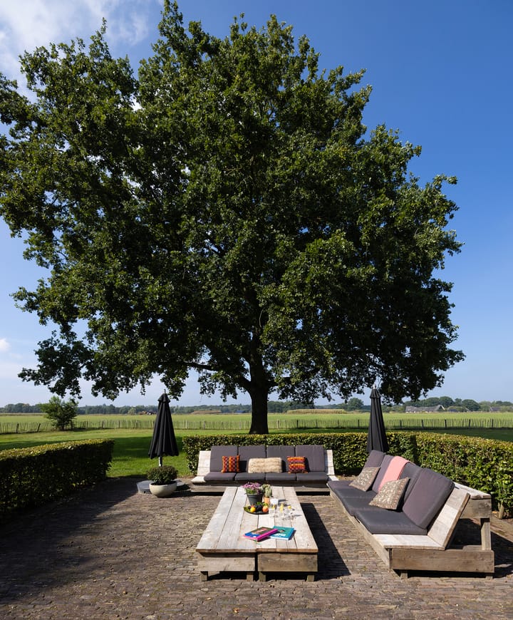 Photo 21 of Dijkhuizerweg 25