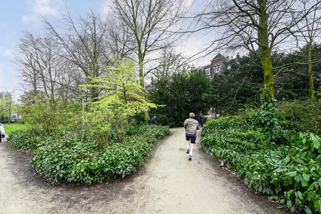 Foto 19 van Van Baerlestraat 38-2