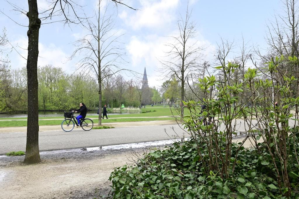 Foto 20 van Van Baerlestraat 38-2