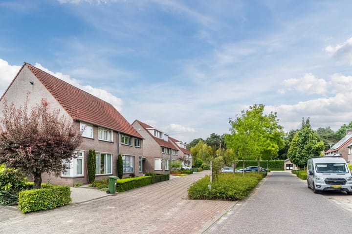 Foto 3 van De Hasselt 10