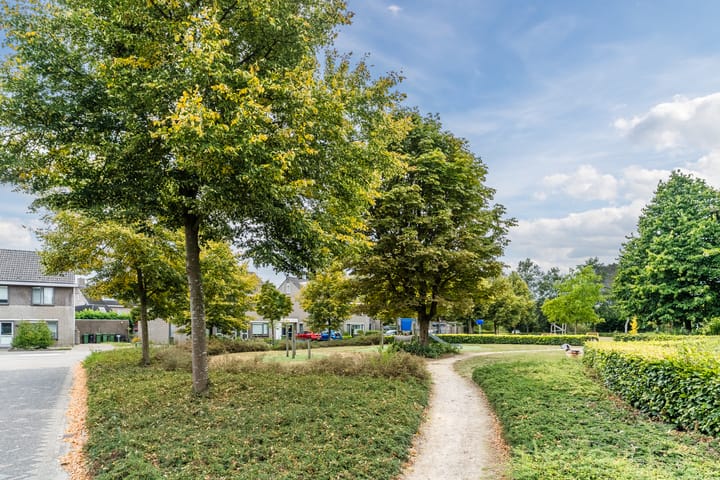 Foto 34 van De Hasselt 10