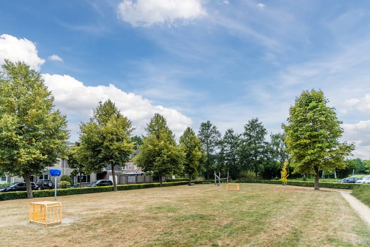 Foto 36 van De Hasselt 10