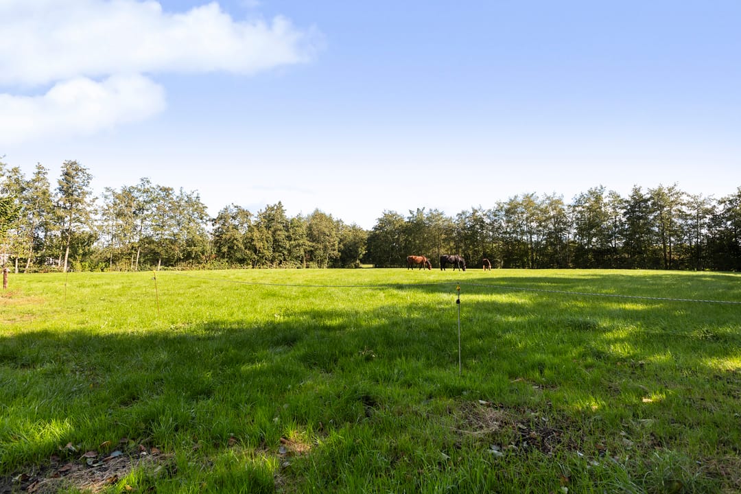 Foto 37 van Achterwei 14