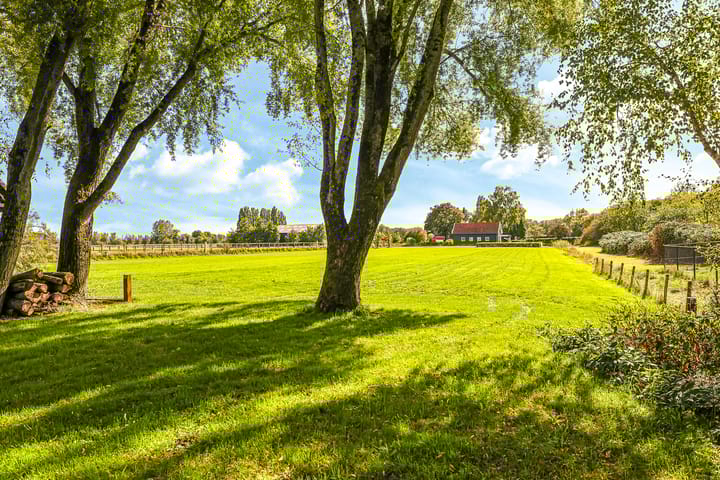 Foto 88 van Drielse Rijndijk 3